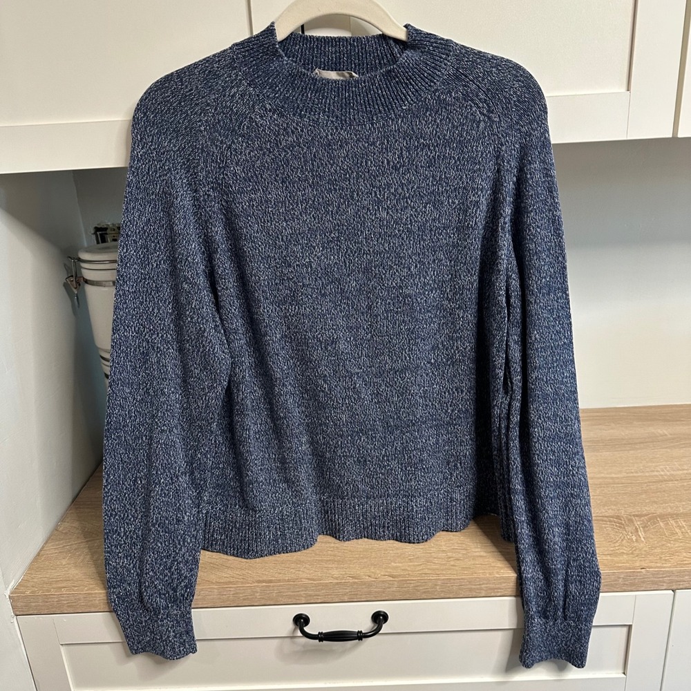Everlane Cotton Marled Mock Neck Sweater Womens M Blue Raglan Sleeve Minimalist